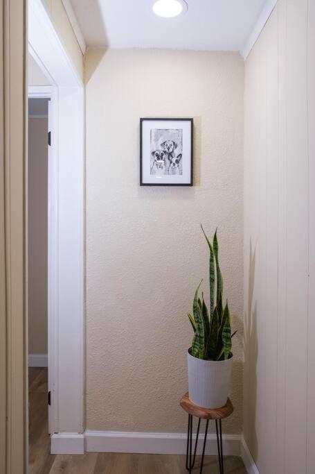 House Near Tampa Zoo And Busch Gardens, Free High Speed Wifi Villa Екстериор снимка